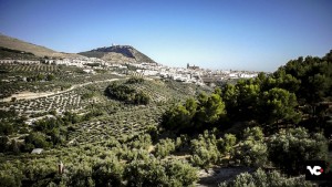 00008.MTS.Imagen fija001po