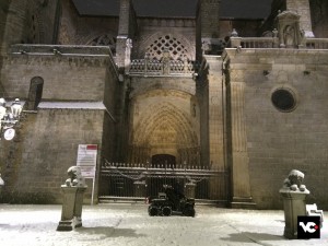 IMG_2120